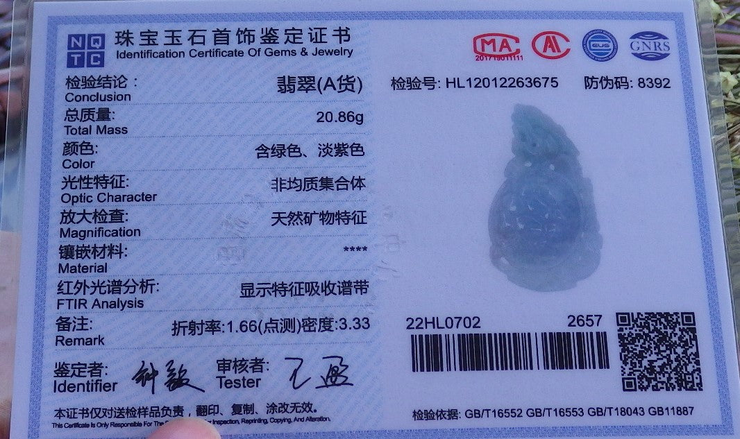 Certified Hand Carved Natural Myanmar Burma A Jade Jadeite Dragon Turtle Ruyi Pendant Necklace