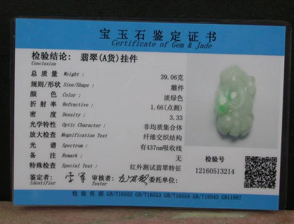 Certified Hand Carved Green Natural Hand Carved Myanmar Burma A Jade jadeite Dragon Pi Xiu Pendant Necklace