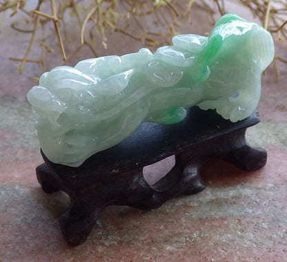 Certified Hand Carved Natural Green Myanmar Burma A Jade jadeite Dragon Display with Wood Stand