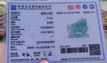 Certified Green Hand Carved Natural Myanmar Burma A Jade Jadeite Dragon Ruyi Display with wood stand