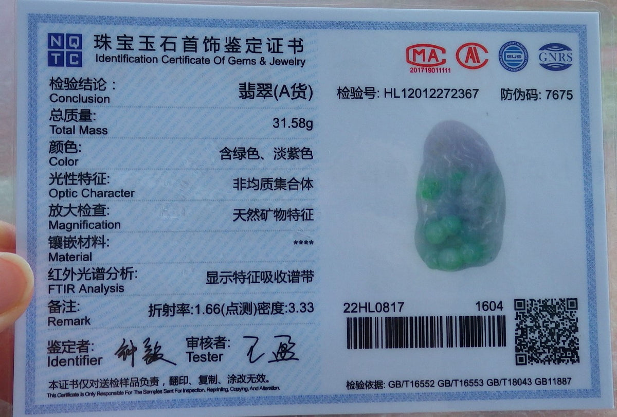 Certified Hand Carved Natural Burma A Jade jadeite Dragon Peanut Lucky Amulet Pendant Necklace