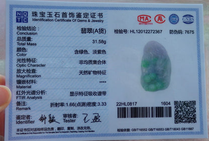 Certified Hand Carved Natural Burma A Jade jadeite Dragon Peanut Lucky Amulet Pendant Necklace