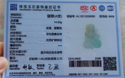 Certified Hand Carved Natural Myanmar Burma A Jade jadeite Owl Lotus Flower Ruyi Lucky Amulet Pendant Necklace