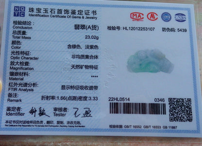 Certified Hand Carved Green Natural Myanmar Burma A Jade Jadeite Dragon Pi Xiu Pendant Necklace