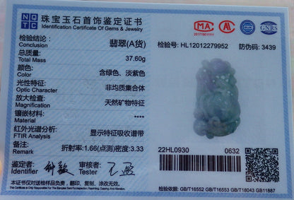 Certified Hand Carved Green Natural Myanmar Burma A Jade Jadeite Dragon Turtle Ruyi Pendant Necklace