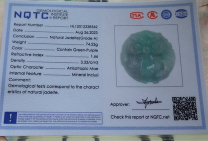 Certified Hand Carved Green Natural Burma A JADE Jadeite 10 PCS